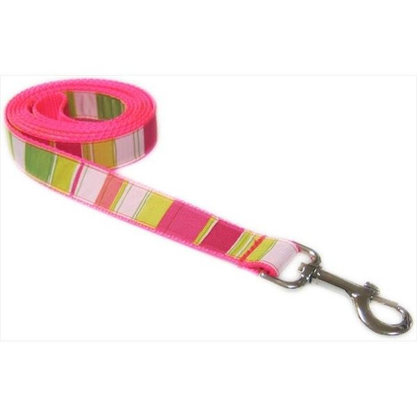 Sassy Dog Wear Sassy Dog Wear STRIPE-NEON PINK3-L 6 ft. Multi Stripe Dog Leash; Neon Pink - Medium STRIPE-NEON PINK3-L